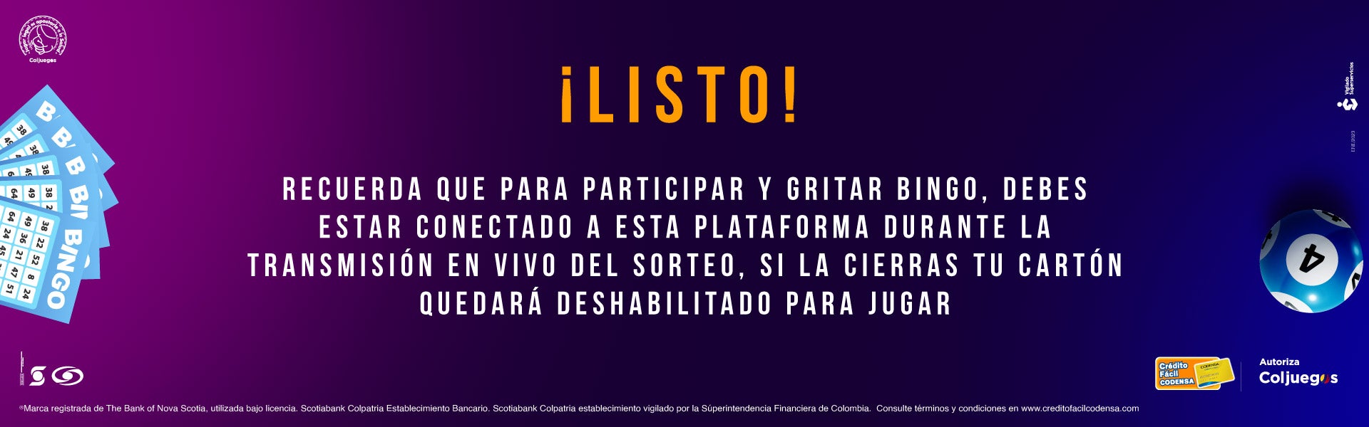 Cartones web Bingo