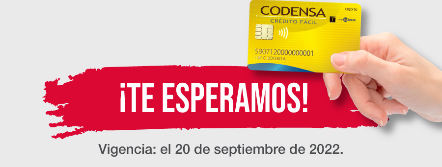 TIENDAS CASAIDEAS