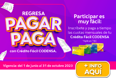 Regresa PAGAR PAGA