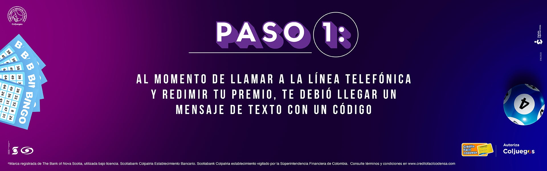 Cartones web Bingo