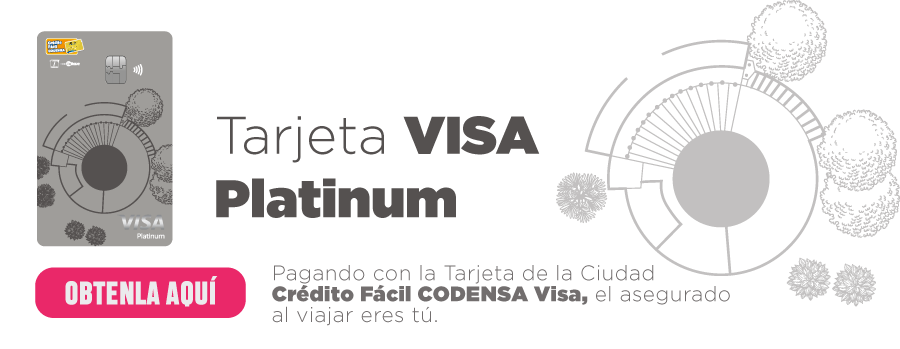 Tarjeta VISA Platinum