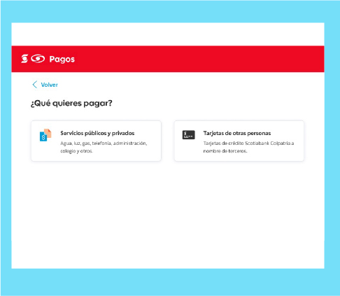 3. Selecciona “Servicios públicos y privados”.