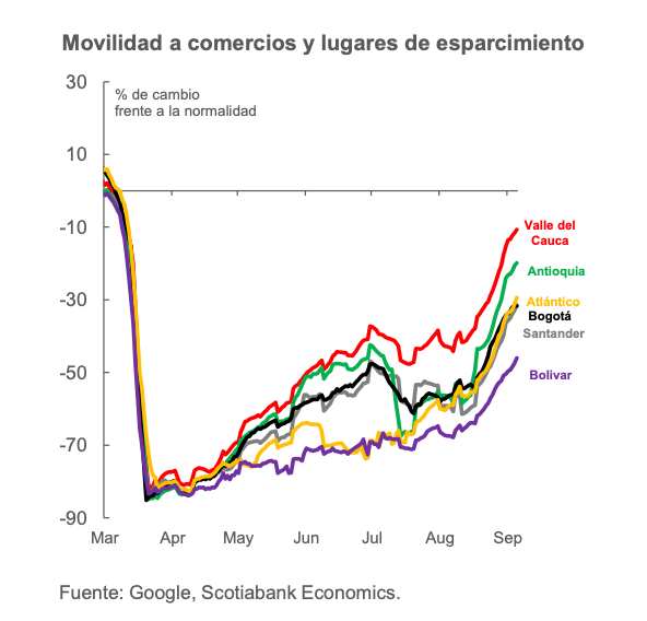 grafica