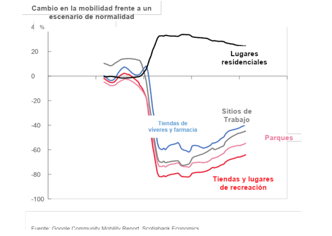 grafica