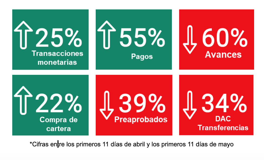 grafica