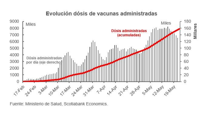 grafica