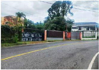 Bienes de oportunidad