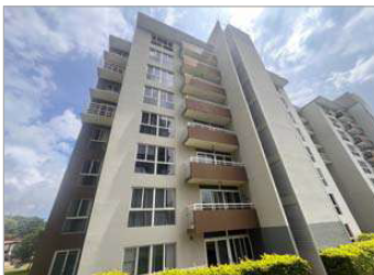 Bienes de oportunidad