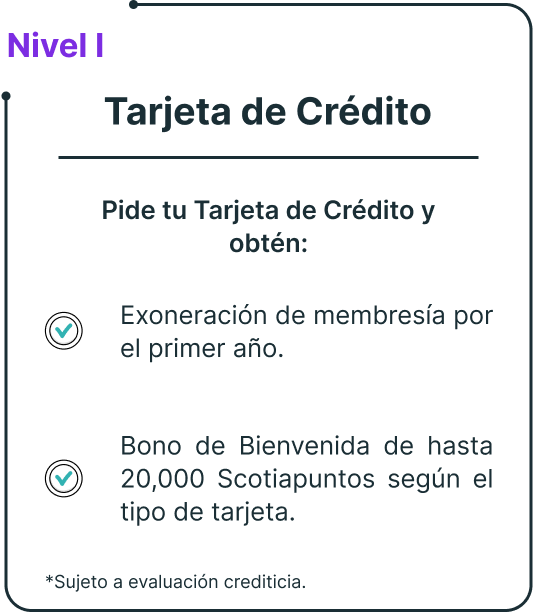 nivel 1