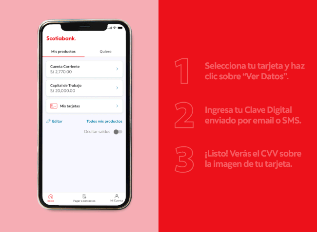 Gif educativo cvv dinámico