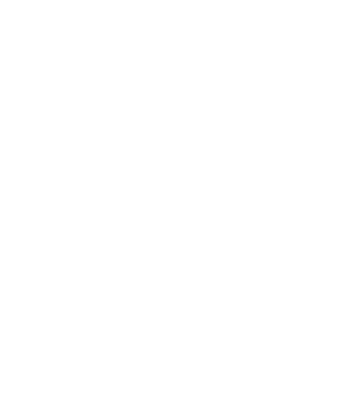 Icono medalla