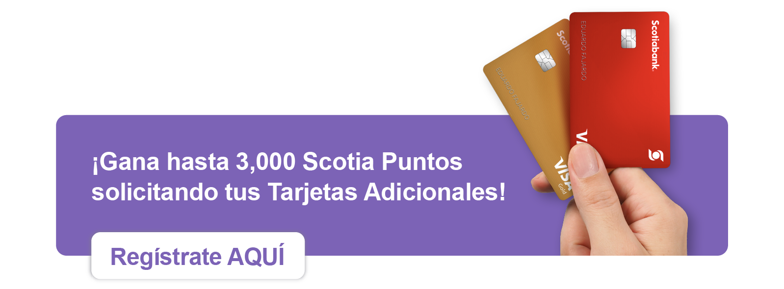 Pastilla de Tarjetas Adicionales