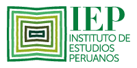 logo fundaci&oacute;n iep