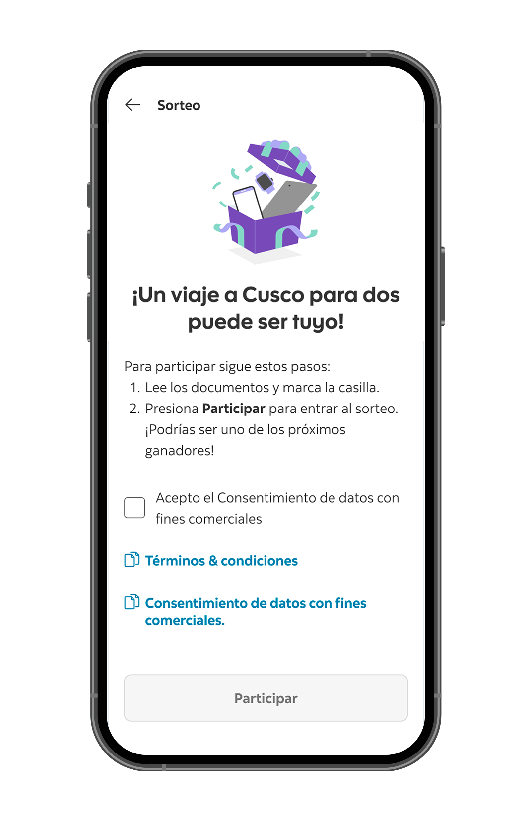 Descripci&oacute;n gr&aacute;fica del paso 2