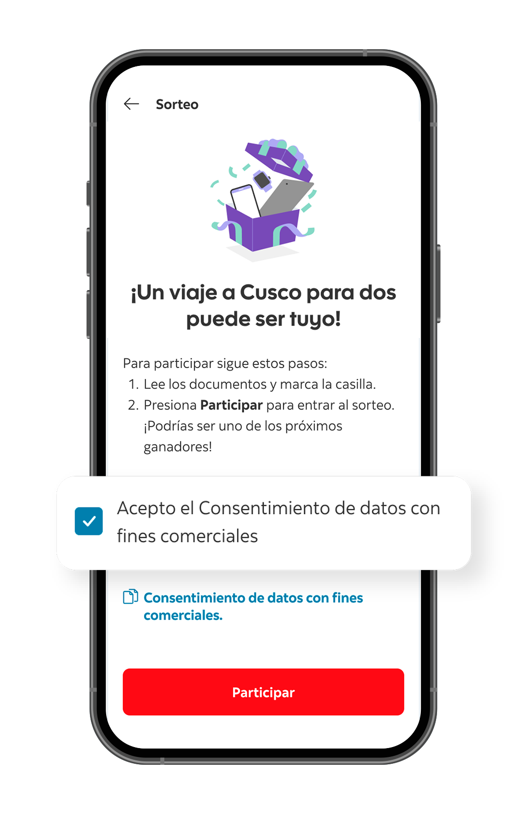 Descripci&oacute;n gr&aacute;fica del paso 3