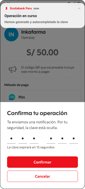 4. Confirma la operaci&oacute;n