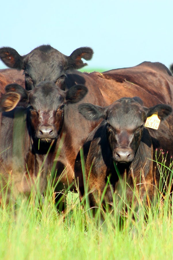 Solicitud de pr&eacute;stamo online