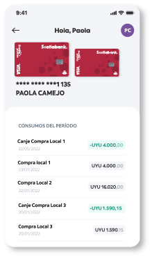 Paso 6
