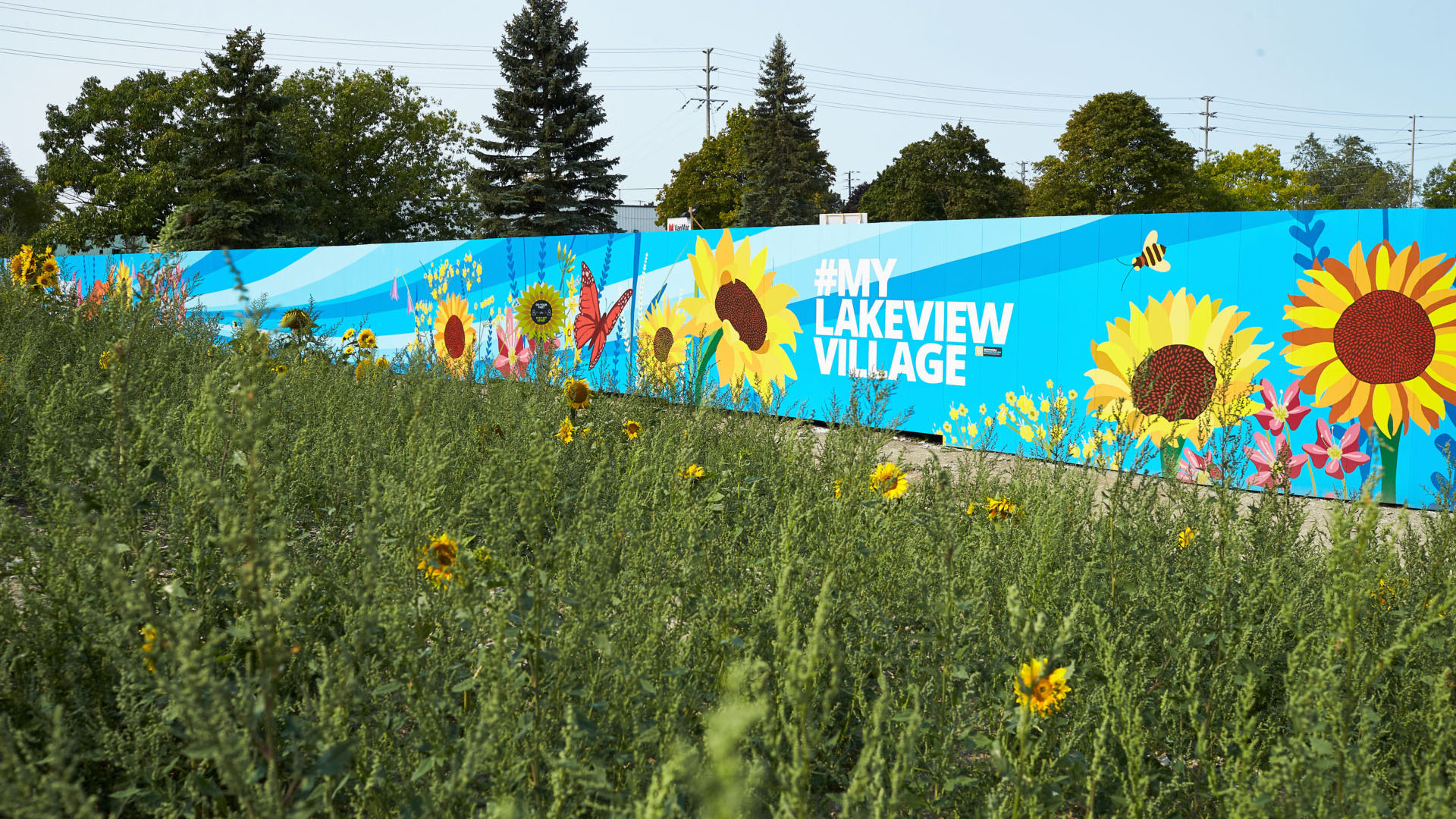 hoarding lakeview village