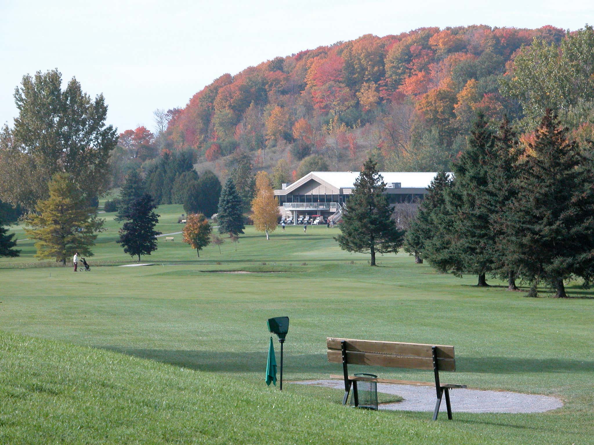 dalewood