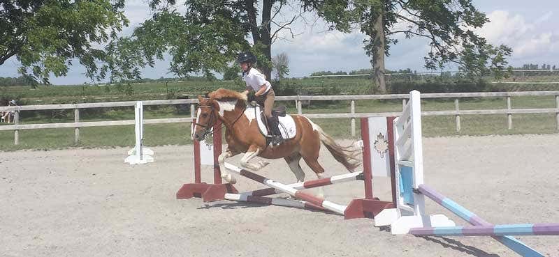 fiona-horse-2