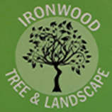 Ironwood Tree and Landscape