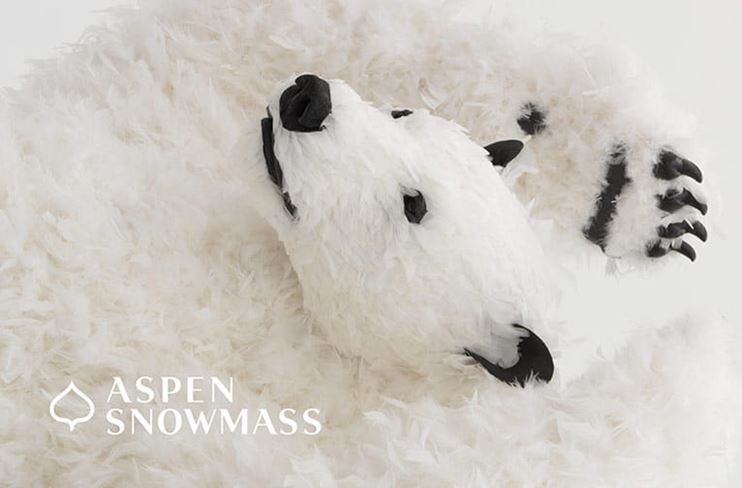 Aspen Snowmass Lift Ticket